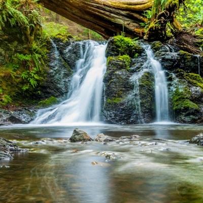 联大认定奴隶制为最严重反人类罪，美以阿反对