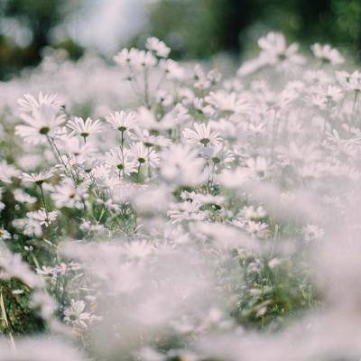 RFID识别通道助力海外仓实现无人...